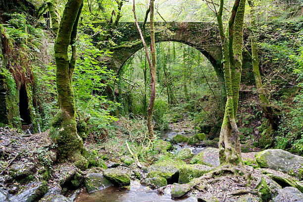istock Fragas of the River Eume - National Park 182215110
