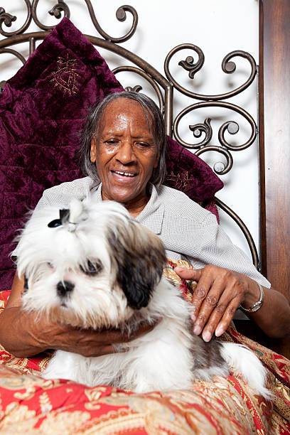 pet therapy with elder