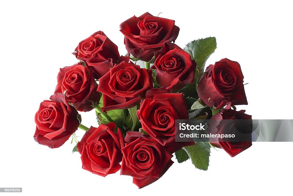 Strauß rote Rosen - Lizenzfrei Rose Stock-Foto