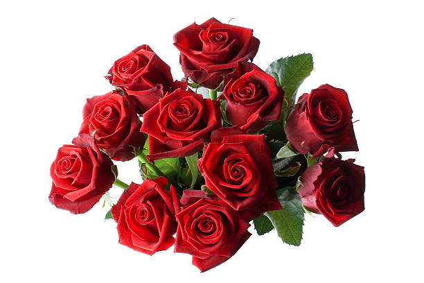 Bouquet of red roses Bouquet of red roses. Similar photographs from my portfolio: dozen roses stock pictures, royalty-free photos & images