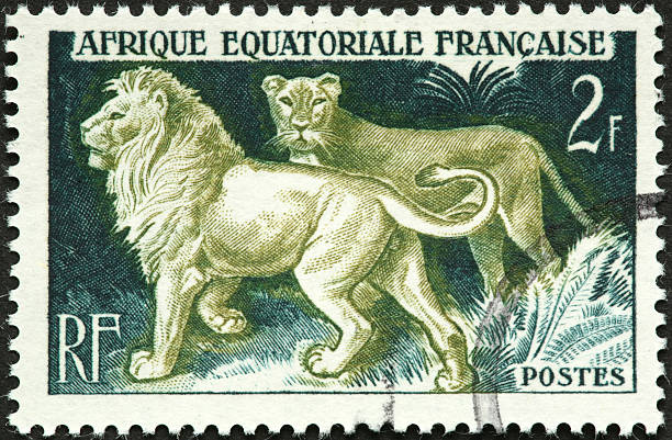 istock pair of lions 182215540