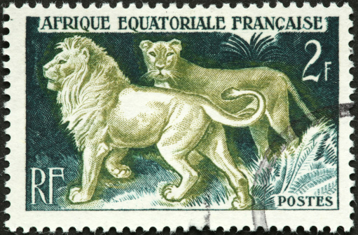 pair of lions