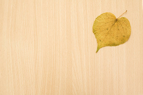 Linden (Tilia) leaf on wooden background.