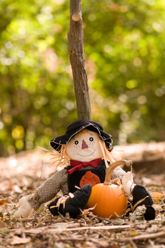 Cute scarecrow with pumpkin. More scarecrow images: