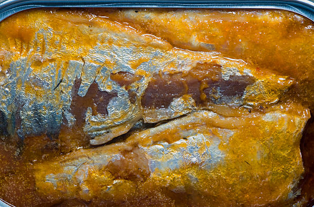 Canned Sardines