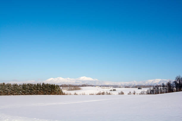 Hills and snowy mountains on a clear winter day Hills and snowy mountains on a clear winter day snowfield stock pictures, royalty-free photos & images