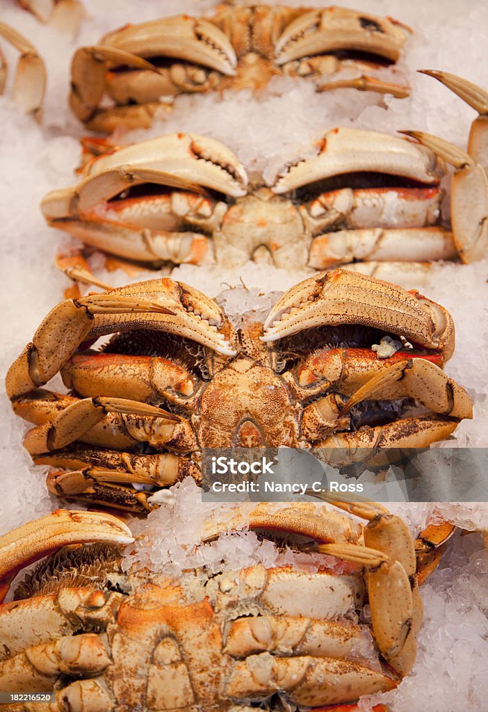 Dungeness crabes sur la glace au marché aux poissons, les repas en arrière-plan - Photo de Aliment libre de droits