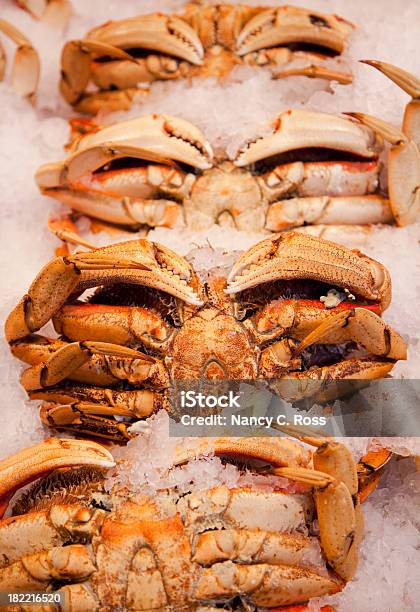 Photo libre de droit de Dungeness Crabes Sur La Glace Au Marché Aux Poissons Les Repas En Arrièreplan banque d'images et plus d'images libres de droit de Aliment