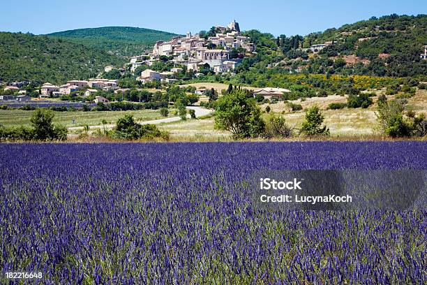 Blühender Lavendel Mit Einem Dorf In Der Provence Stockfoto und mehr Bilder von Agrarbetrieb - Agrarbetrieb, Blume, Bunt - Farbton