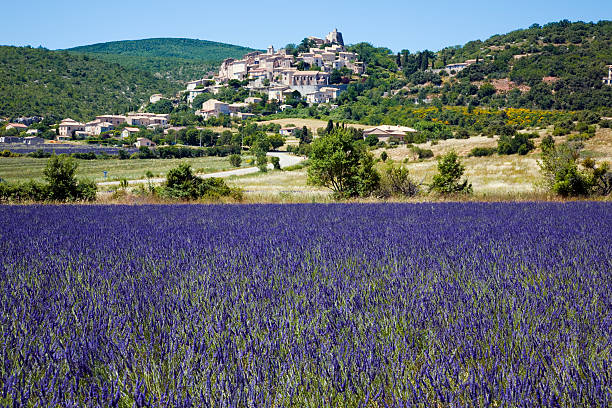 istock Blooming lavender with a village in Provence 182216648