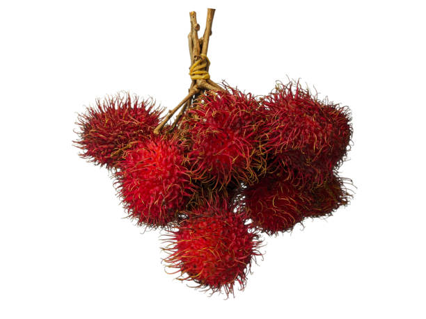 istock Fresh rambutan fruit is isolated on a white background 1822168358