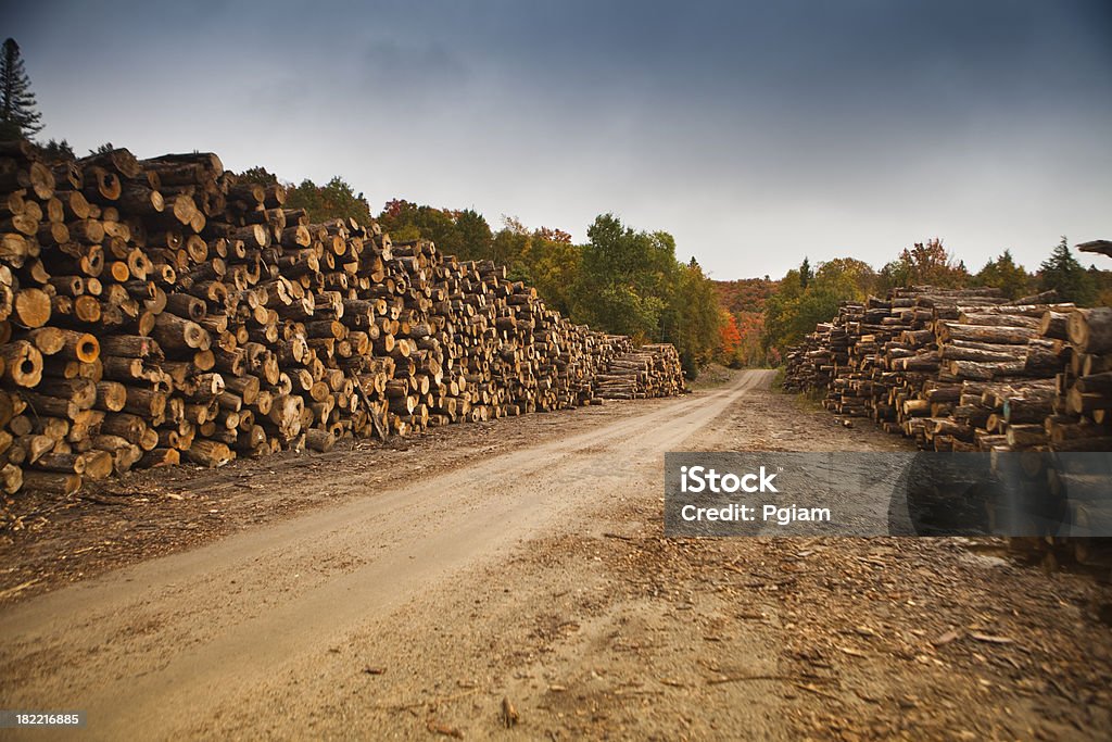 Pilhas de madeira por uma madeira serrada mill - Foto de stock de Amontoamento royalty-free