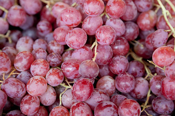bunches von roten trauben im freien, markt, bio-speisen - grape red grape red farmers market stock-fotos und bilder