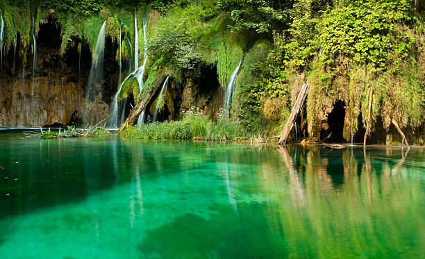 piscina e cascate, laghi di plitvice, croazia - plitvice lakes national park water lake national park foto e immagini stock