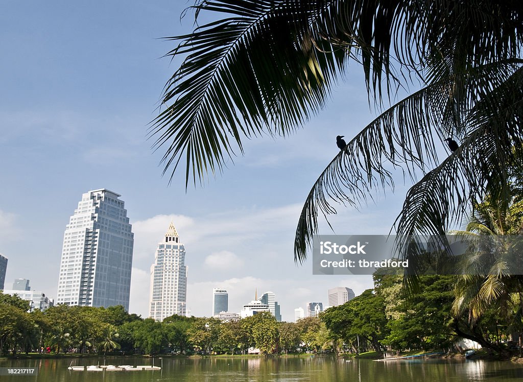 Bangkok - Zbiór zdjęć royalty-free (Architektura)