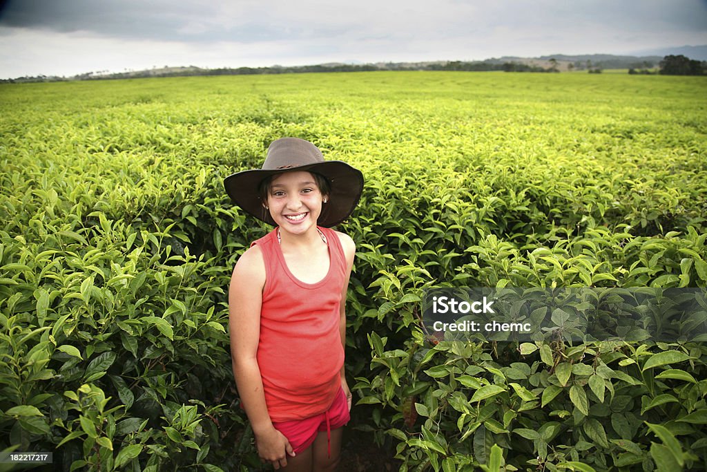 Chica joven en té farm - Foto de stock de Australia libre de derechos