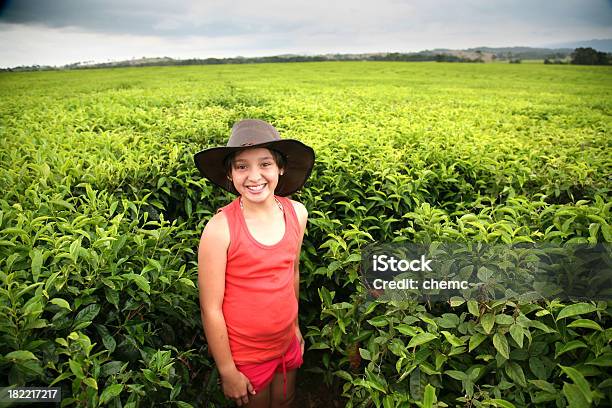 Chica Joven En Té Farm Foto de stock y más banco de imágenes de Australia - Australia, Granja, Niño