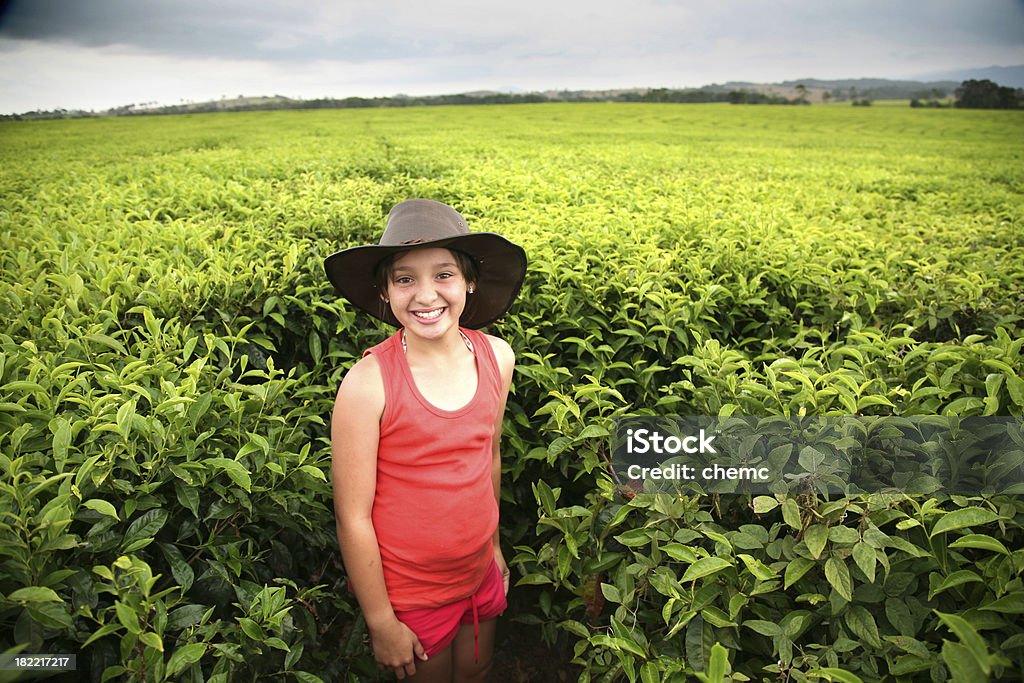 Menina no tea farm - Foto de stock de Austrália royalty-free