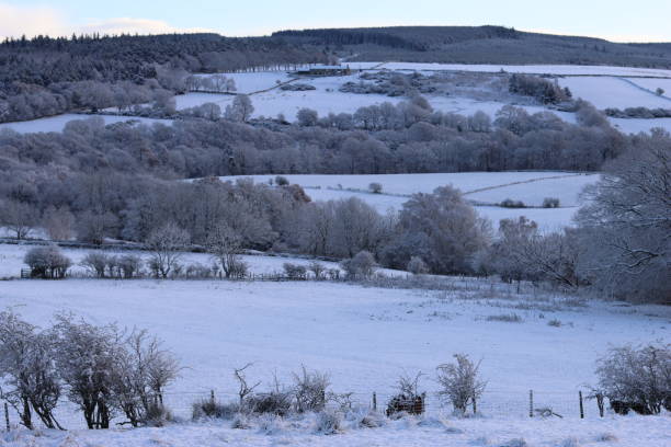 istock Snow covered trees and fields in a wintry countryside landscape 1822172609