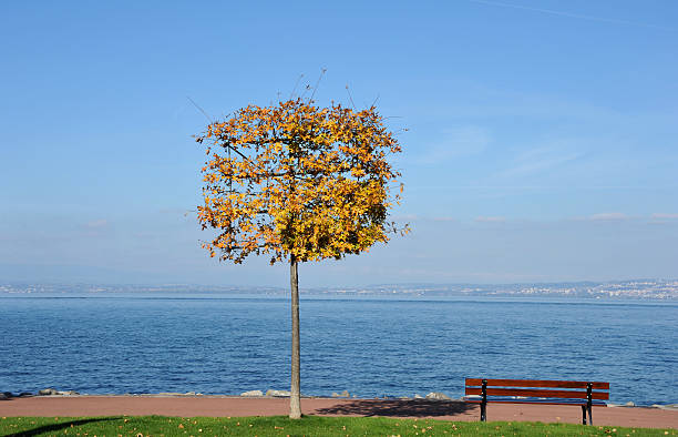 View across Lake Geneva at Evian-les-Bains, Vaud, Switzerland