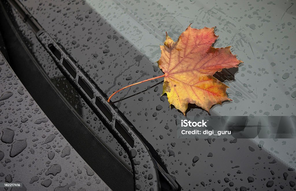 Herbst Road trip - Lizenzfrei Ahornblatt Stock-Foto