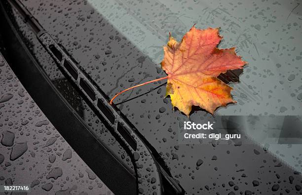Herbst Road Trip Stockfoto und mehr Bilder von Ahornblatt - Ahornblatt, Auto, Abstrakt