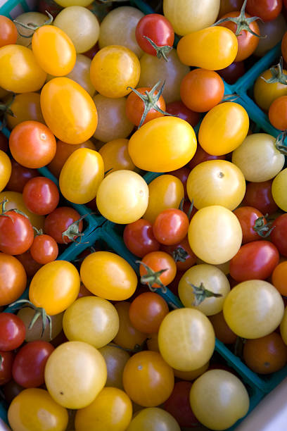 istock Fresh Organic Toy Box Tomatoes 182217755