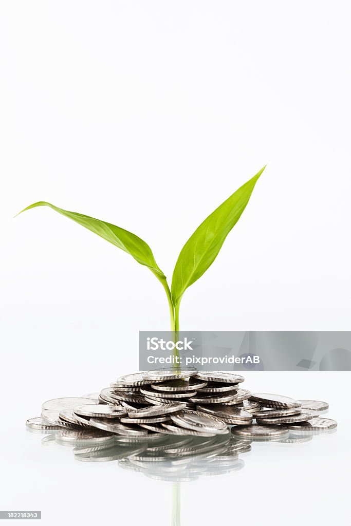 Coins and plant A plant that grows out of coins Swedish Currency Stock Photo