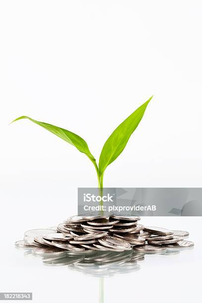 Foto de Moedas E Plantas e mais fotos de stock de Moeda Sueca - Moeda Europeia - Moeda Sueca - Moeda Europeia, Bolsa de valores e ações, Caule