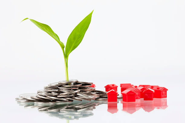 istock Coins and plant 182218349