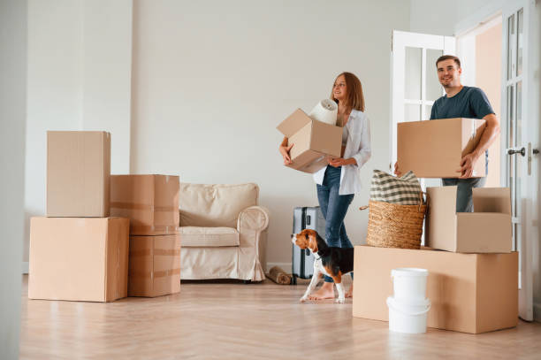 Walking forward with boxes. Young couple with dog are moving to new home Walking forward with boxes. Young couple with dog are moving to new home. new home stock pictures, royalty-free photos & images
