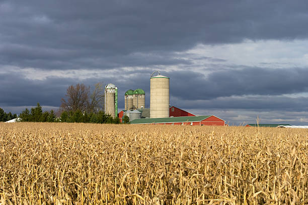 istock Autumn Farm over Corn Field 182219269