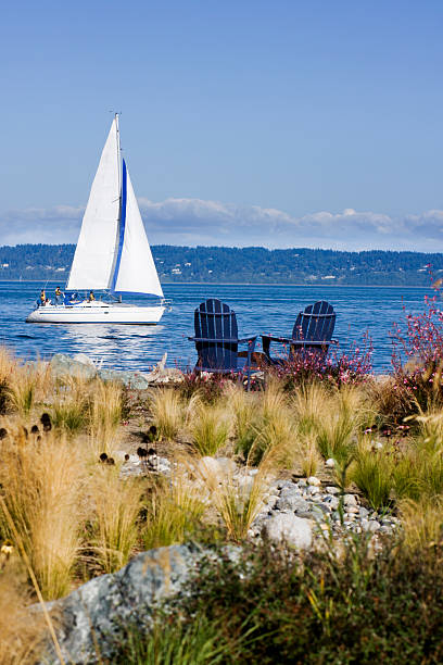 Scenic view overlooking the sea of grassy area and sailboat Two cozy beach chairs overlook the water as a sailboat passes by. Taken on Puget Sound, Washington State. bainbridge island photos stock pictures, royalty-free photos & images