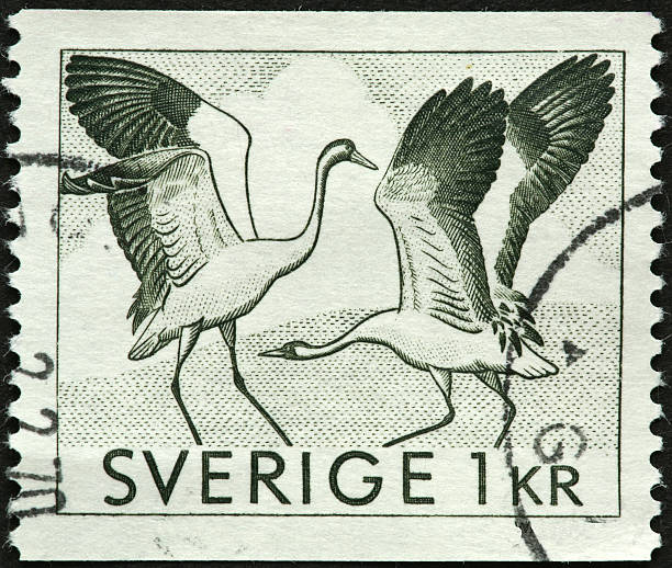 istock dancing cranes on a Swedish stamp 182219762
