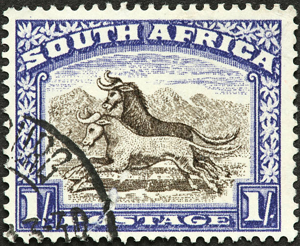 istock South African wildlife 182219975
