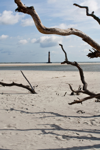 The Morris Island Light in Charleston South Carolina framed in driftwood shot from Folly Beach.