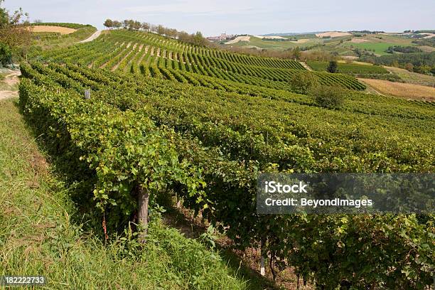 Piedmont Winnica W Pobliżu Castagnole Monferrato Włochy - zdjęcia stockowe i więcej obrazów Piemont