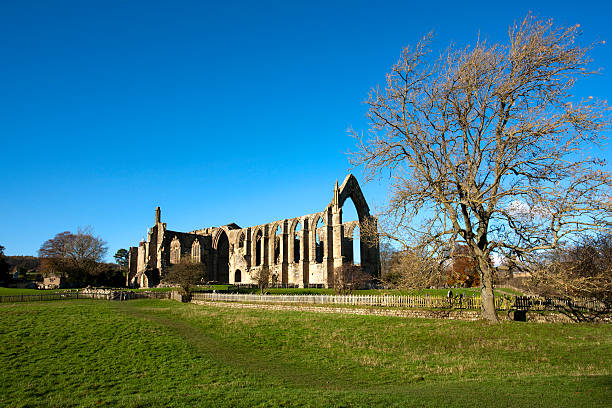 istock Bolton Abbey North Yorkshire 182222764