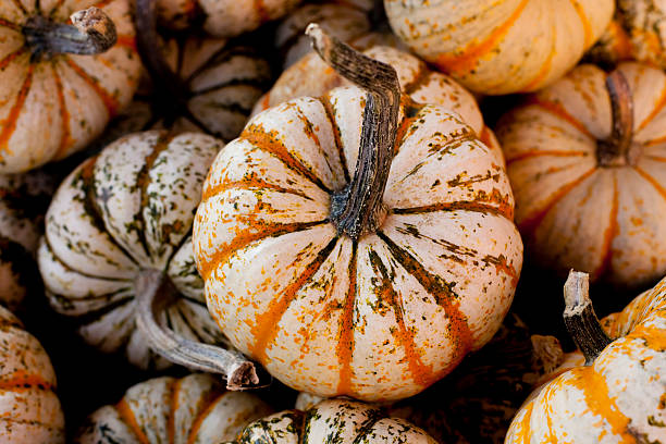 istock Autumn Market 182223186