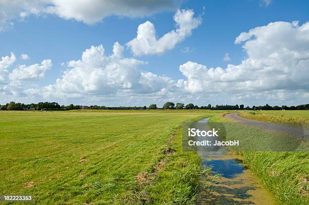 Photo libre de droit de Dutch Polder Scène banque d'images et plus d'images libres de droit de Herbe - Herbe, Paysage, Plat