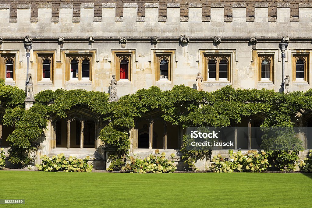 Exuberante pátio cultivado Universidade de Oxford - Foto de stock de Universidade de Oxford royalty-free