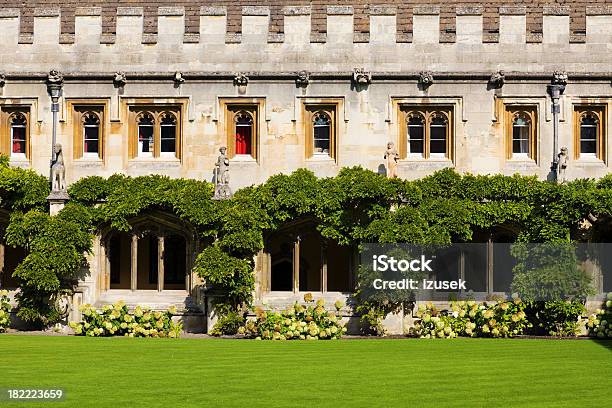 Foto de Exuberante Pátio Cultivado Universidade De Oxford e mais fotos de stock de Universidade de Oxford - Universidade de Oxford, Antigo, Arbusto