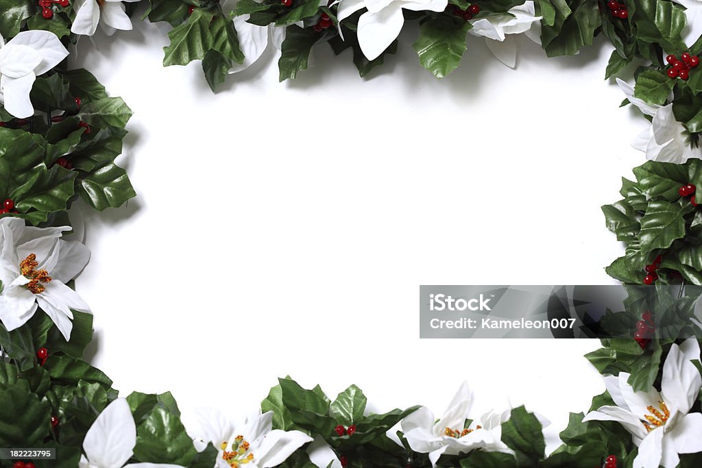 Feliz Holiday - Foto de stock de Arbusto royalty-free