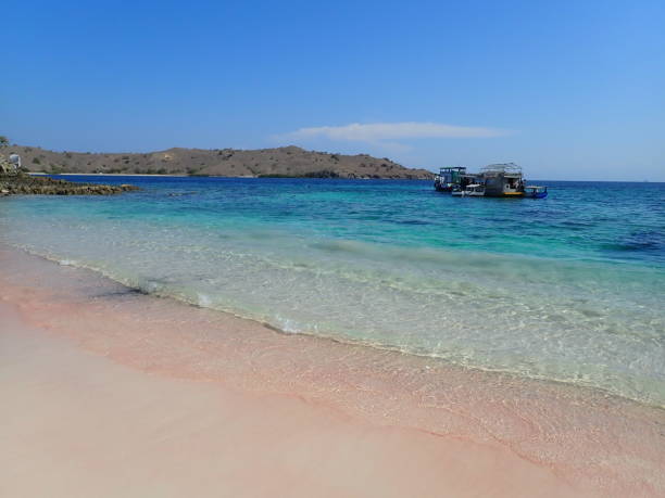 istock Pink beach in Komodo island 1822238319