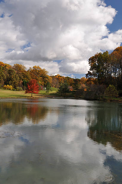 istock Autumn Lakeside Scenic Vertical 182224484