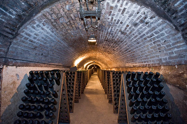 tunnel de champagne - cellar photos et images de collection