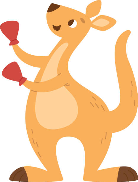 Shangaroo 6,700+ Kangaroo Cartoon Stock Photos, Pictures & Royalty-Free Images ...