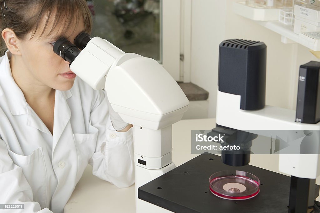 雌研究者を求め、顕微鏡 - 1人のロイヤリティフリーストックフォト
