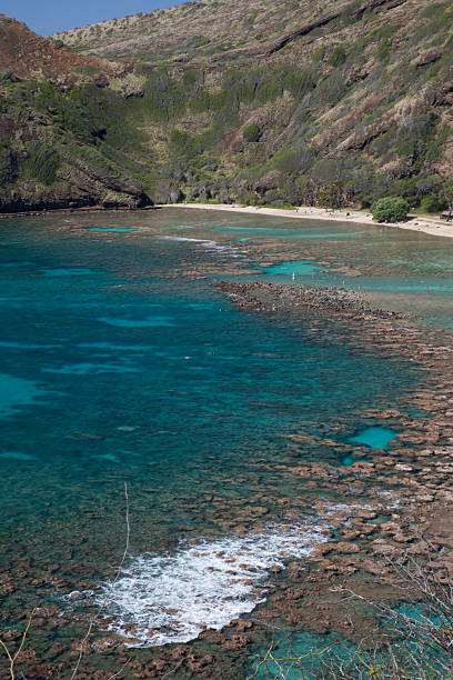istock Hanauma bay park vertical 182225059
