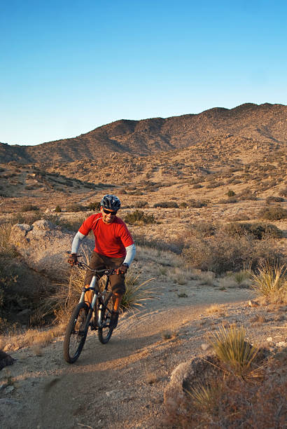 istock smiling mountain biking man and sunset landscape 182225947